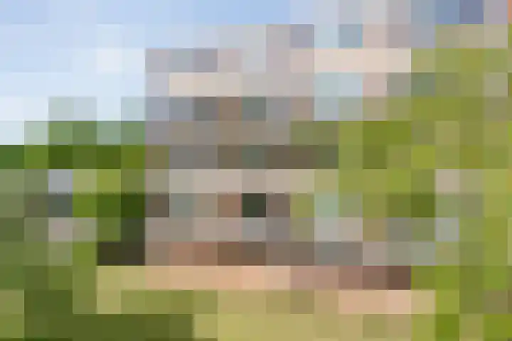 Monteverdilaan 29 Zwolle thumbnail 40