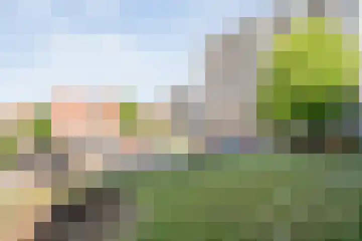 Monteverdilaan 29 Zwolle thumbnail 42