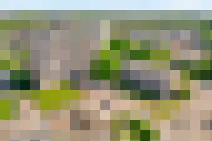 Monteverdilaan 29 Zwolle thumbnail 6