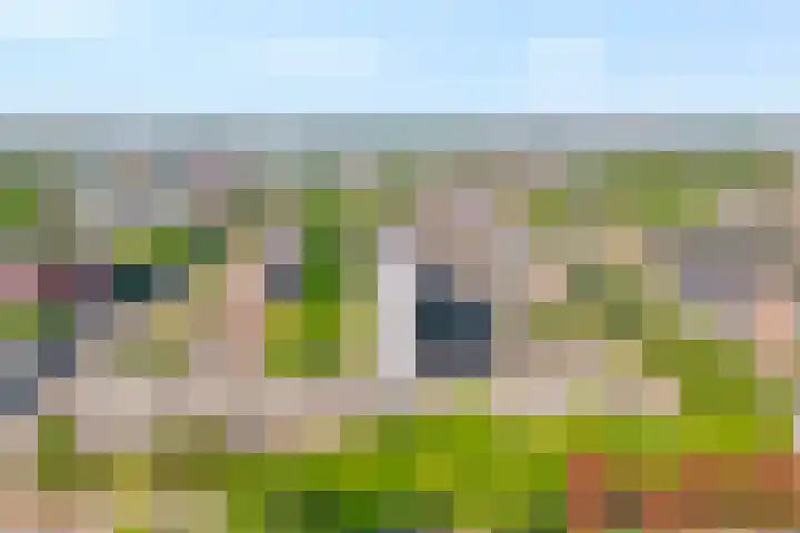 Monteverdilaan 29 Zwolle thumbnail 7