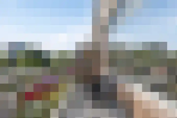 Monteverdilaan 33 Zwolle thumbnail 19