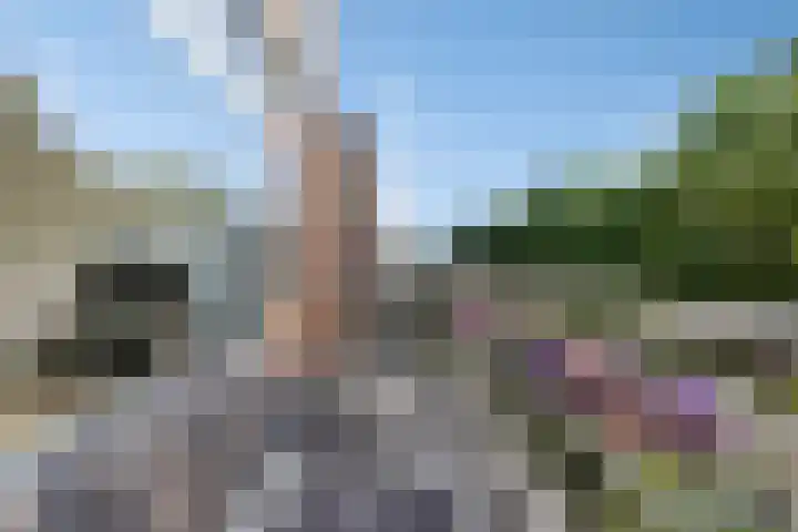 Monteverdilaan 33 Zwolle thumbnail 20