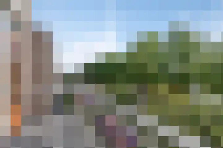 Monteverdilaan 33 Zwolle thumbnail 21