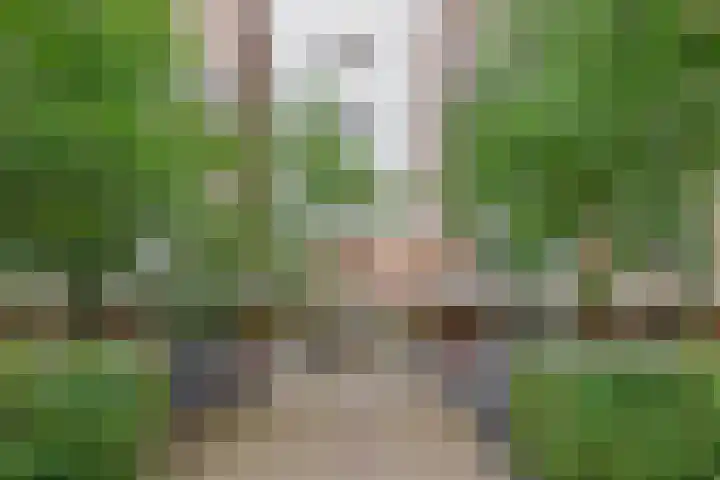 Monteverdilaan 33 Zwolle thumbnail 22