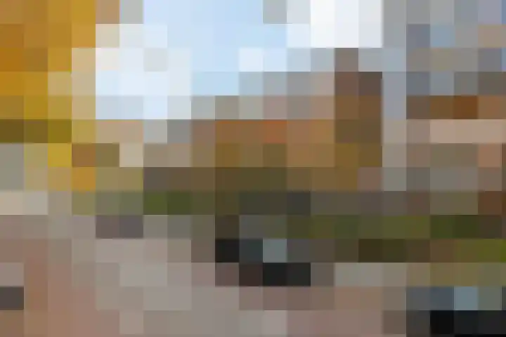 Monteverdilaan 39 Zwolle thumbnail 4