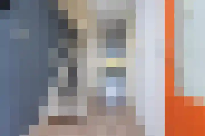 Monteverdilaan 39 Zwolle thumbnail 9