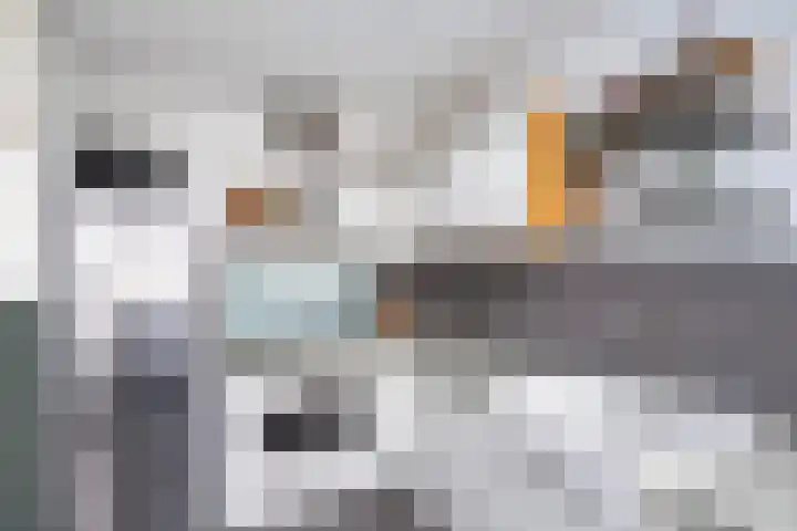 Monteverdilaan 47 Zwolle thumbnail 12