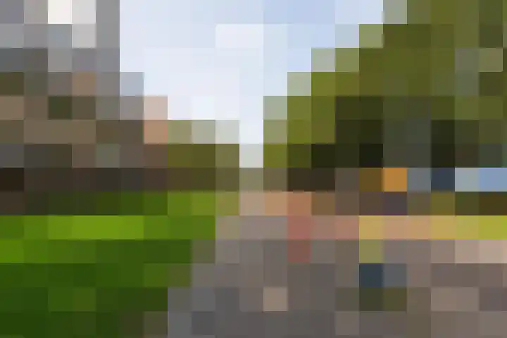 Monteverdilaan 47 Zwolle thumbnail 31