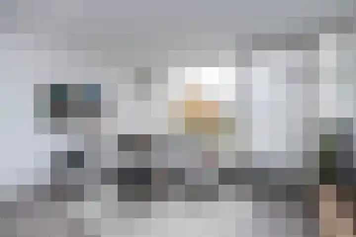 Monteverdilaan 47 Zwolle thumbnail 5