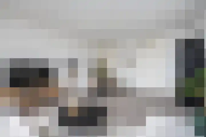 Monteverdilaan 47 Zwolle thumbnail 7