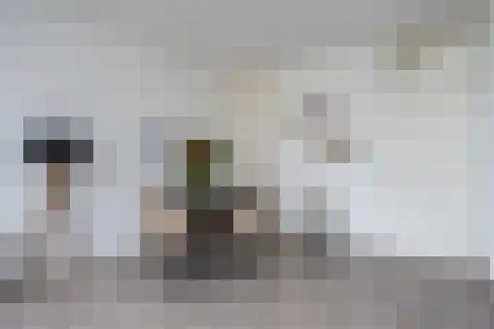 Monteverdilaan 47 Zwolle thumbnail 8