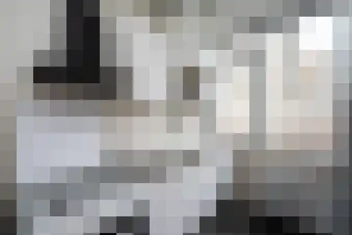 Monteverdilaan 63 Zwolle thumbnail 13