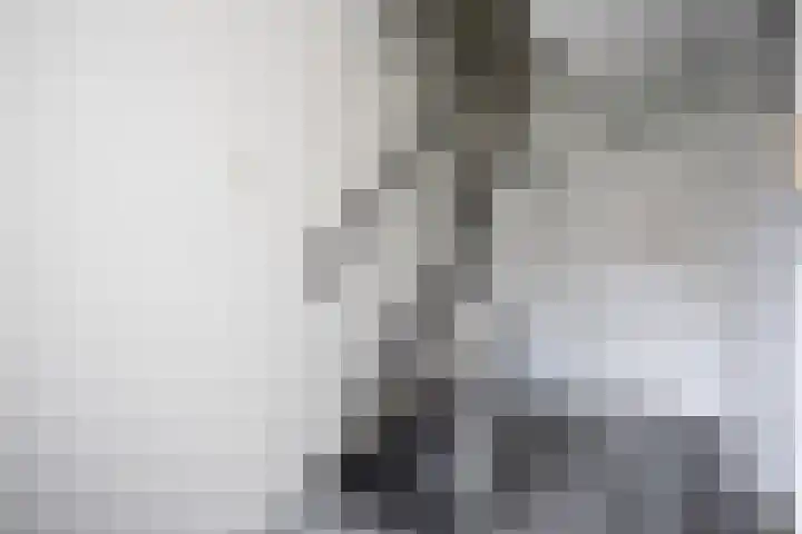 Monteverdilaan 63 Zwolle thumbnail 7
