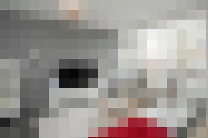 Monteverdilaan 63 Zwolle thumbnail 9