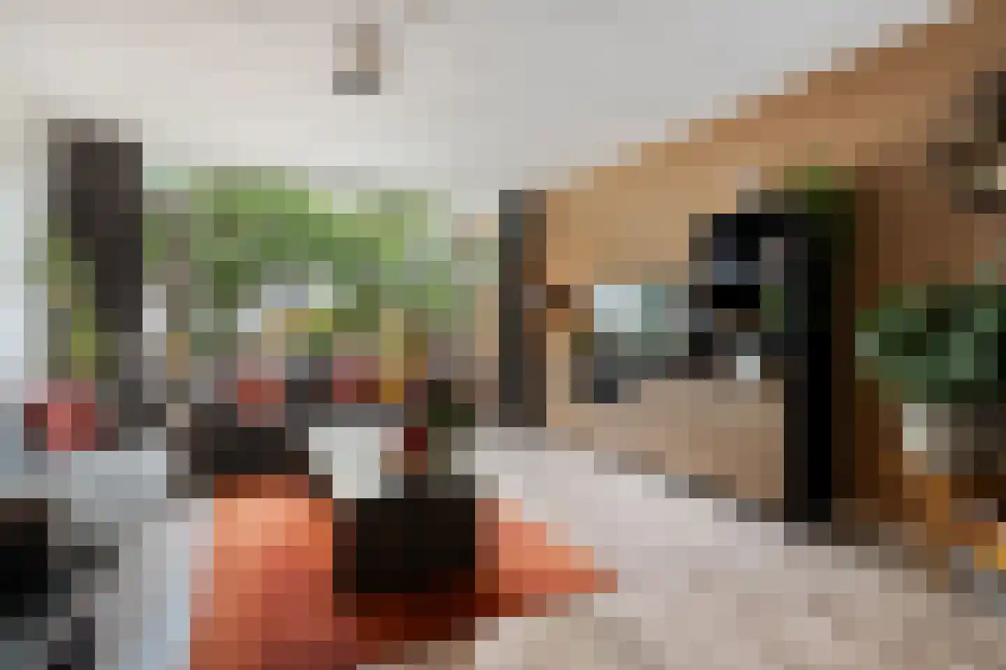 Monteverdilaan 65 Zwolle thumbnail 10