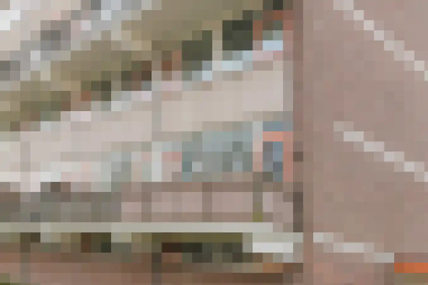 Monteverdilaan 75 Zwolle thumbnail 31