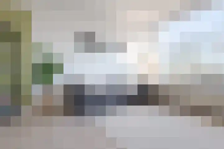 Monteverdilaan 79 Zwolle thumbnail 10