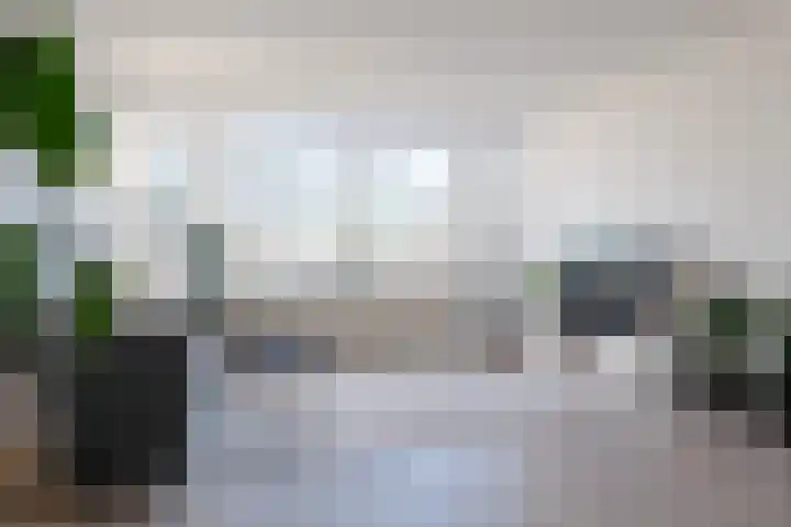 Monteverdilaan 79 Zwolle thumbnail 9