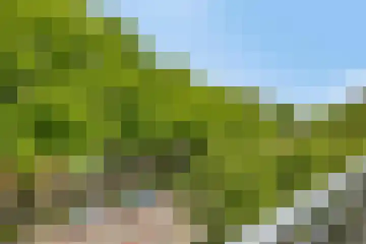 Monteverdilaan 81 Zwolle thumbnail 17