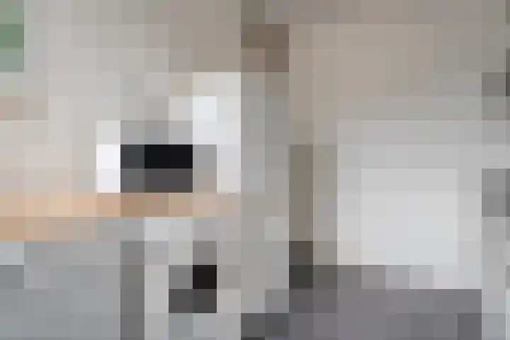 Monteverdilaan 83 Zwolle thumbnail 12