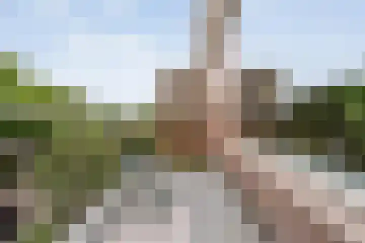 Monteverdilaan 83 Zwolle thumbnail 24