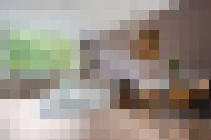 Monteverdilaan 83 Zwolle thumbnail 7