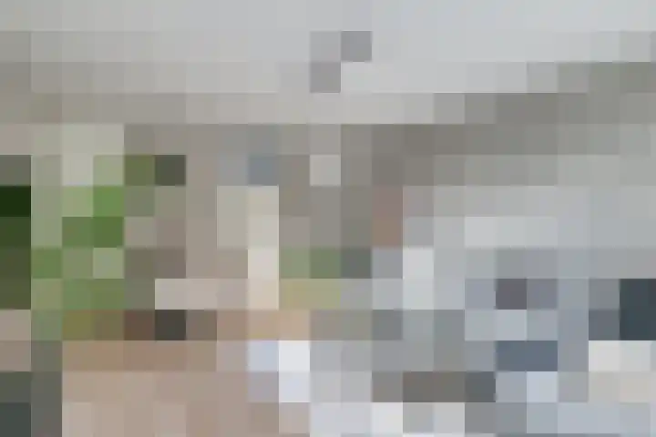 Monteverdilaan 9 Zwolle thumbnail 10