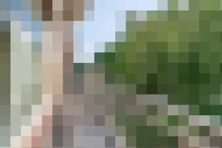 Monteverdilaan 9 Zwolle thumbnail 11