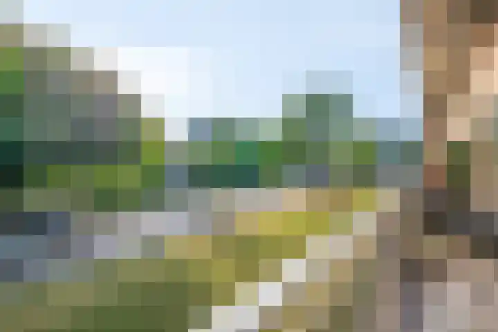 Monteverdilaan 9 Zwolle thumbnail 12