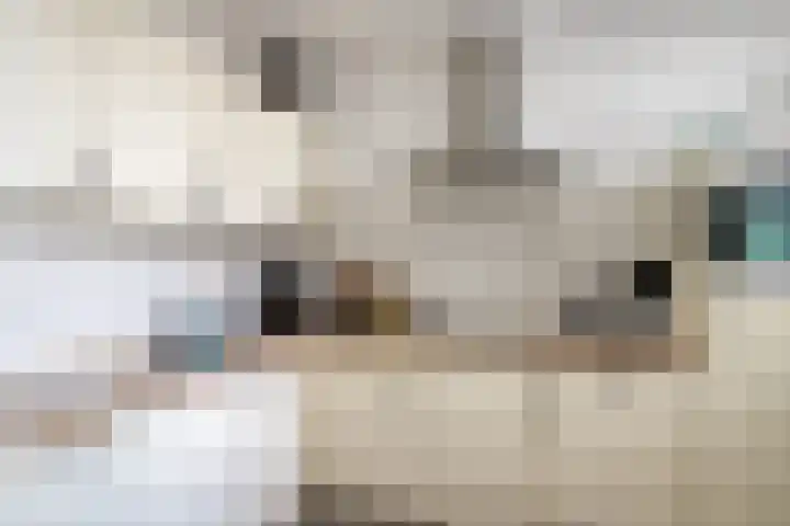 Monteverdilaan 9 Zwolle thumbnail 13