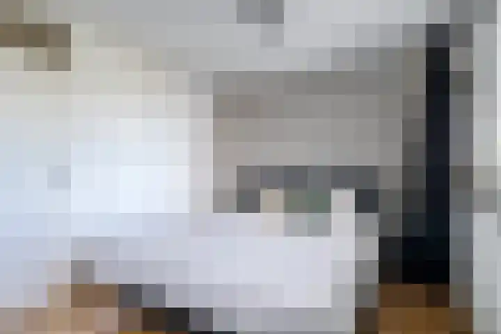 Monteverdilaan 9 Zwolle thumbnail 18