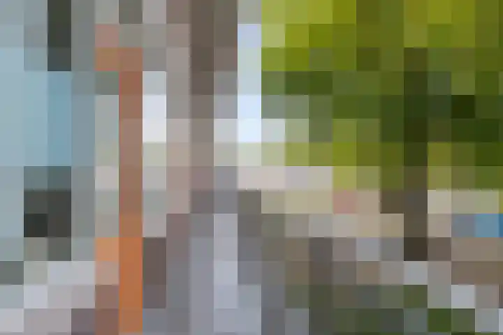 Monteverdilaan 9 Zwolle thumbnail 6