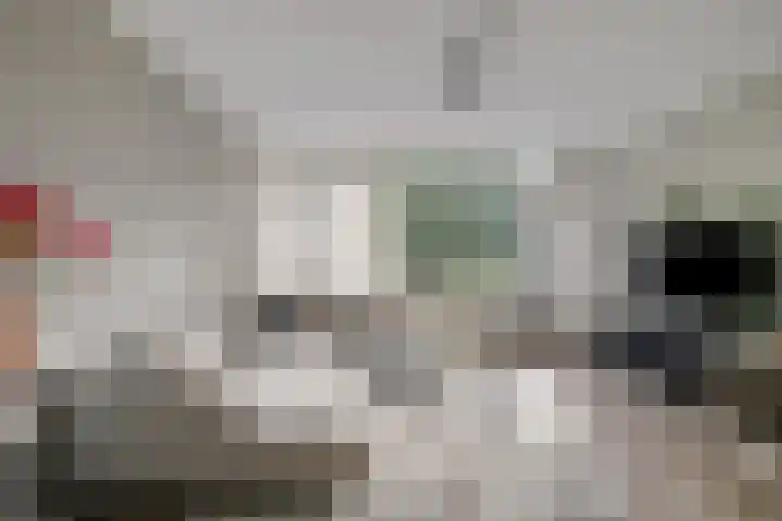Monteverdilaan 9 Zwolle thumbnail 7