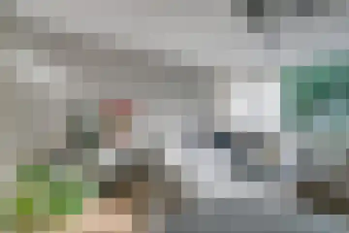 Monteverdilaan 9 Zwolle thumbnail 8