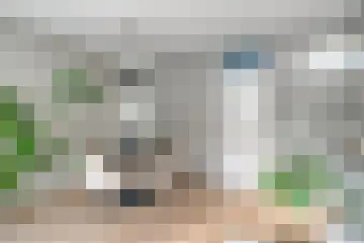 Monteverdilaan 9 Zwolle thumbnail 9