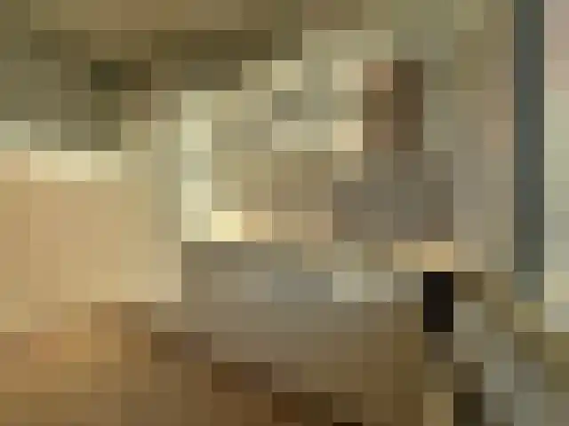 Monteverdilaan 93 Zwolle thumbnail 10