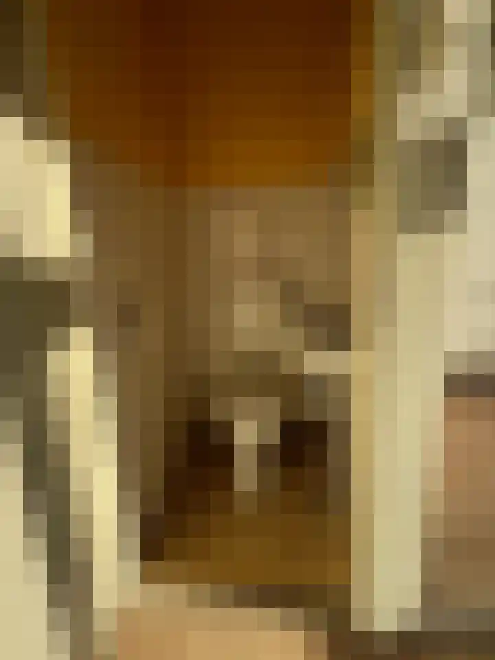 Monteverdilaan 93 Zwolle thumbnail 11