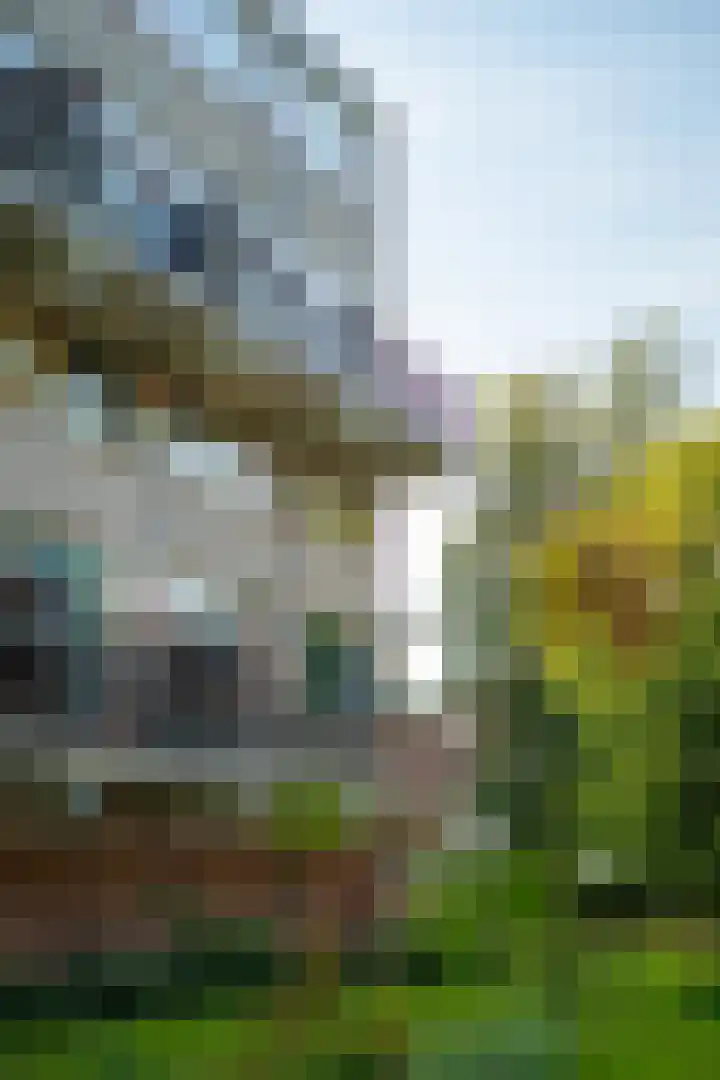 Monteverdilaan 93 Zwolle thumbnail 20