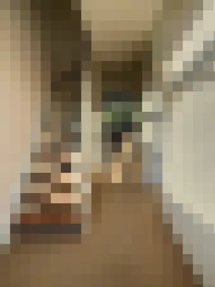 Monteverdilaan 93 Zwolle thumbnail 7