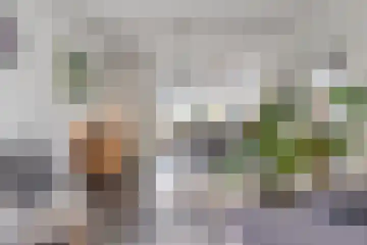 Monteverdistraat 1 Boxtel thumbnail 5