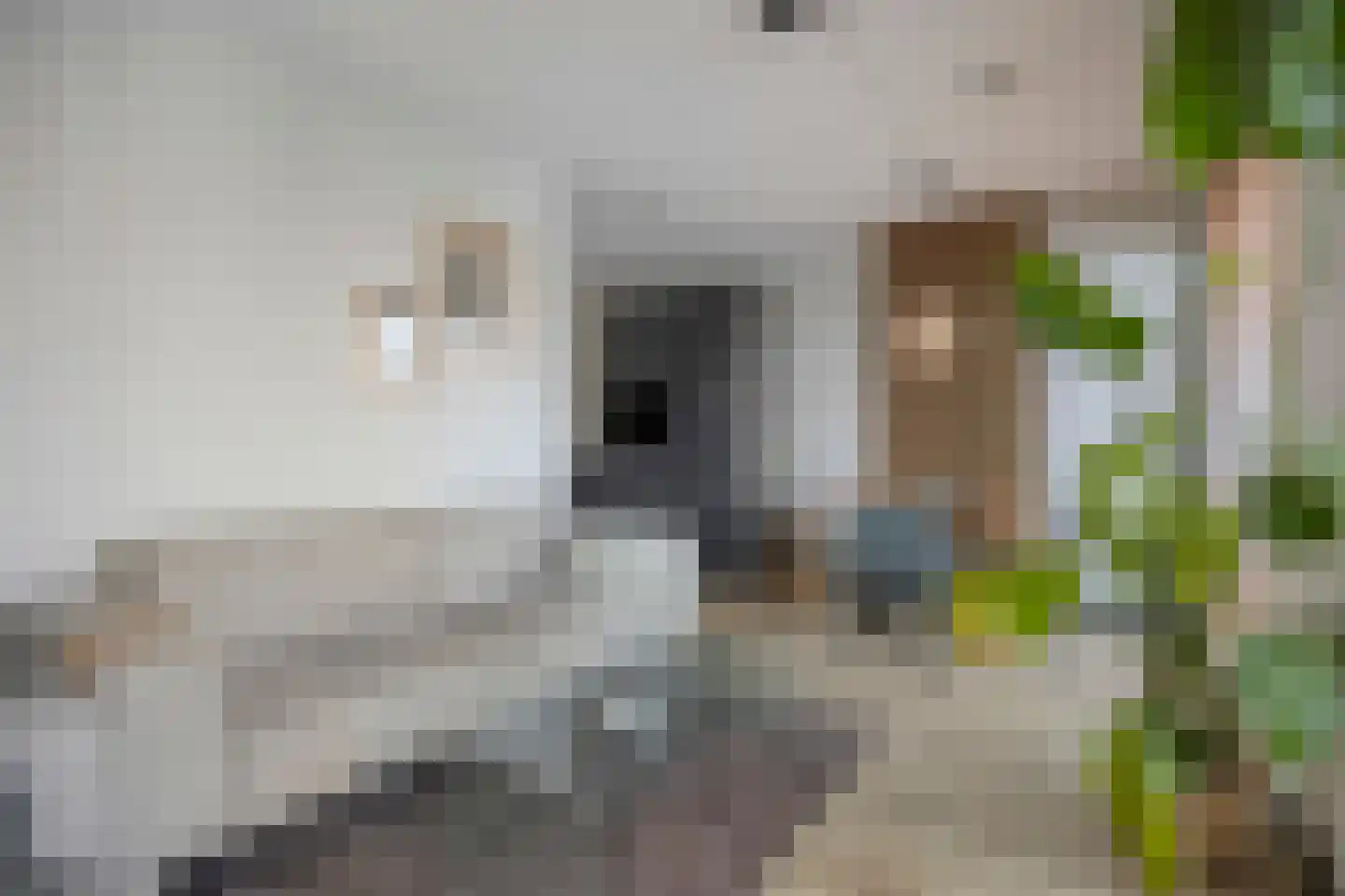 Monteverdistraat 10 Haarlem thumbnail 6