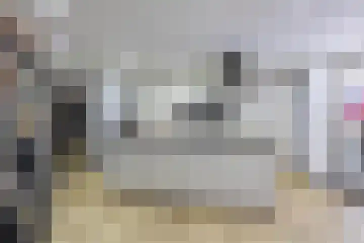 Monteverdistraat 104 Capelle aan den IJssel thumbnail 18