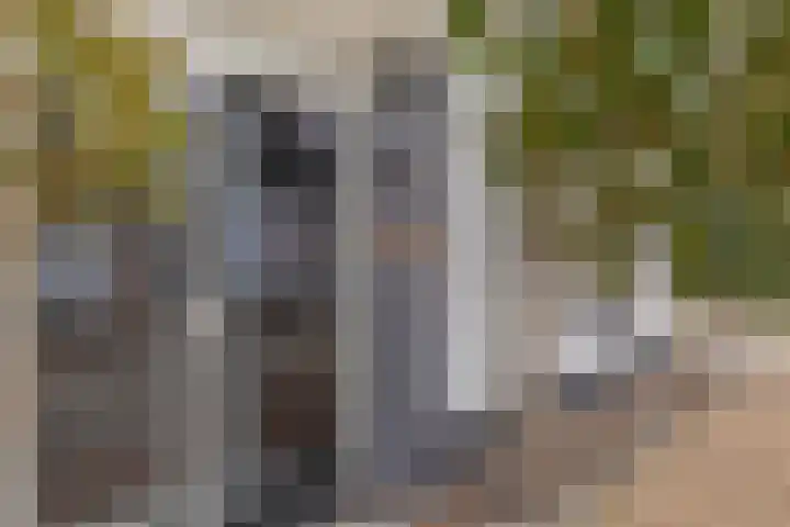 Monteverdistraat 104 Capelle aan den IJssel thumbnail 6