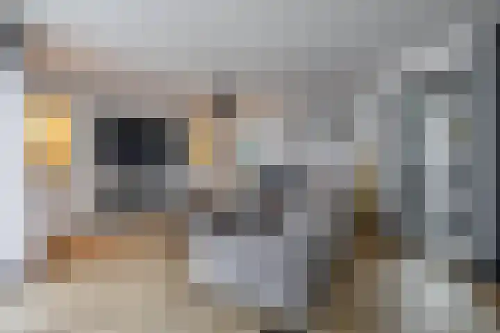 Monteverdistraat 104 Capelle aan den IJssel thumbnail 9