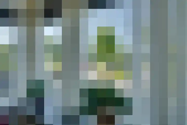 Monteverdistraat 121 Purmerend thumbnail 26