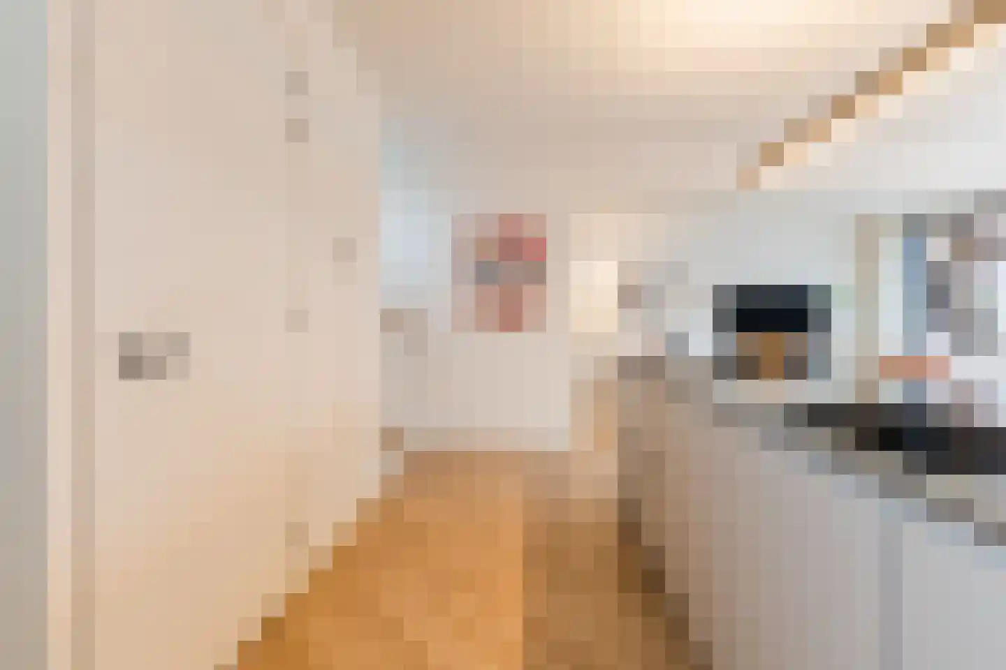 Monteverdistraat 15 Sliedrecht thumbnail 18