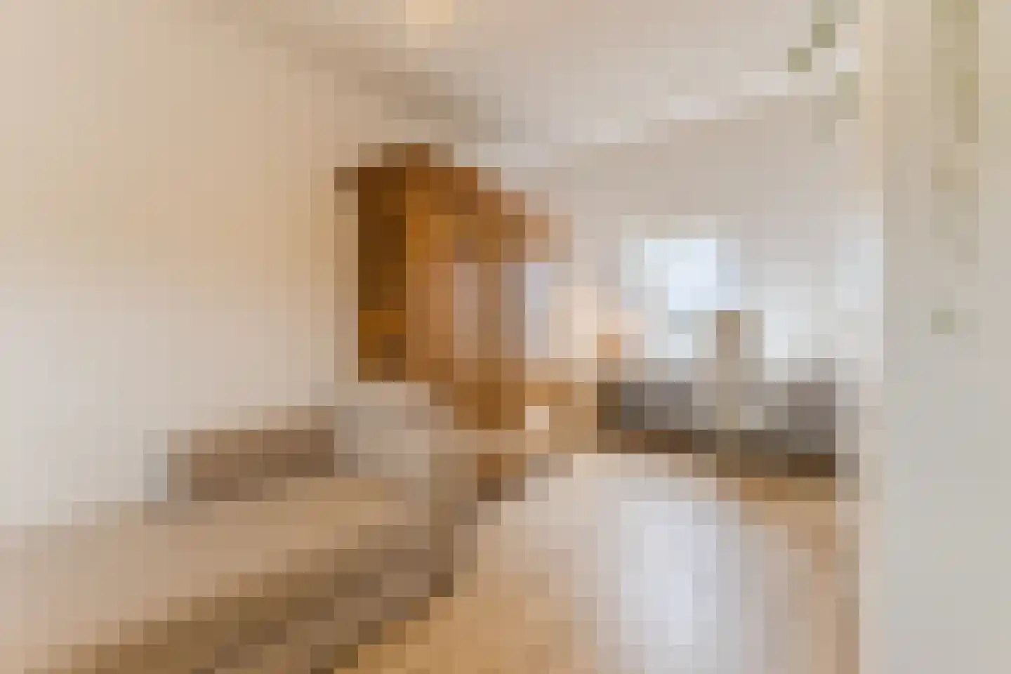Monteverdistraat 15 Sliedrecht thumbnail 21