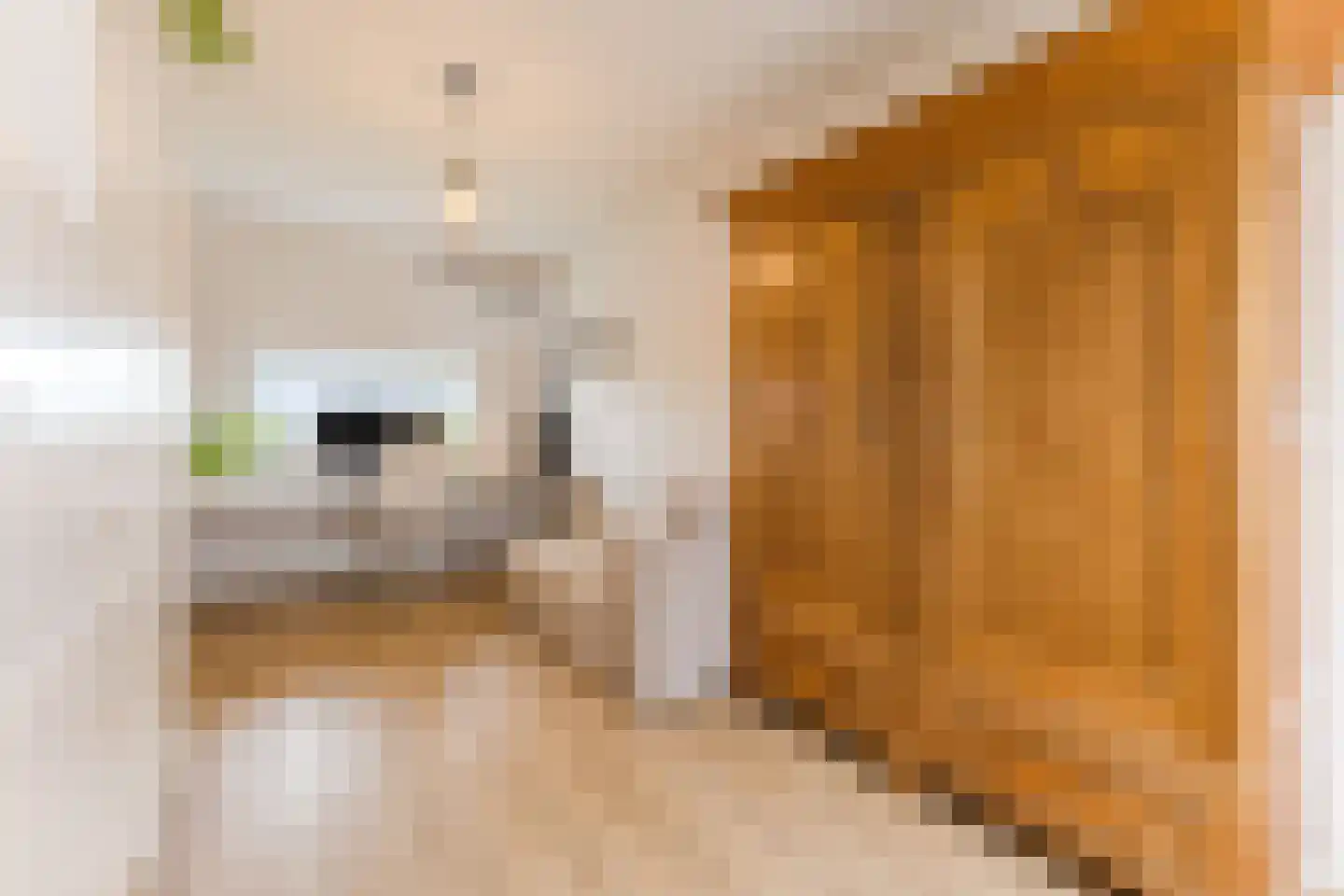 Monteverdistraat 15 Sliedrecht thumbnail 22