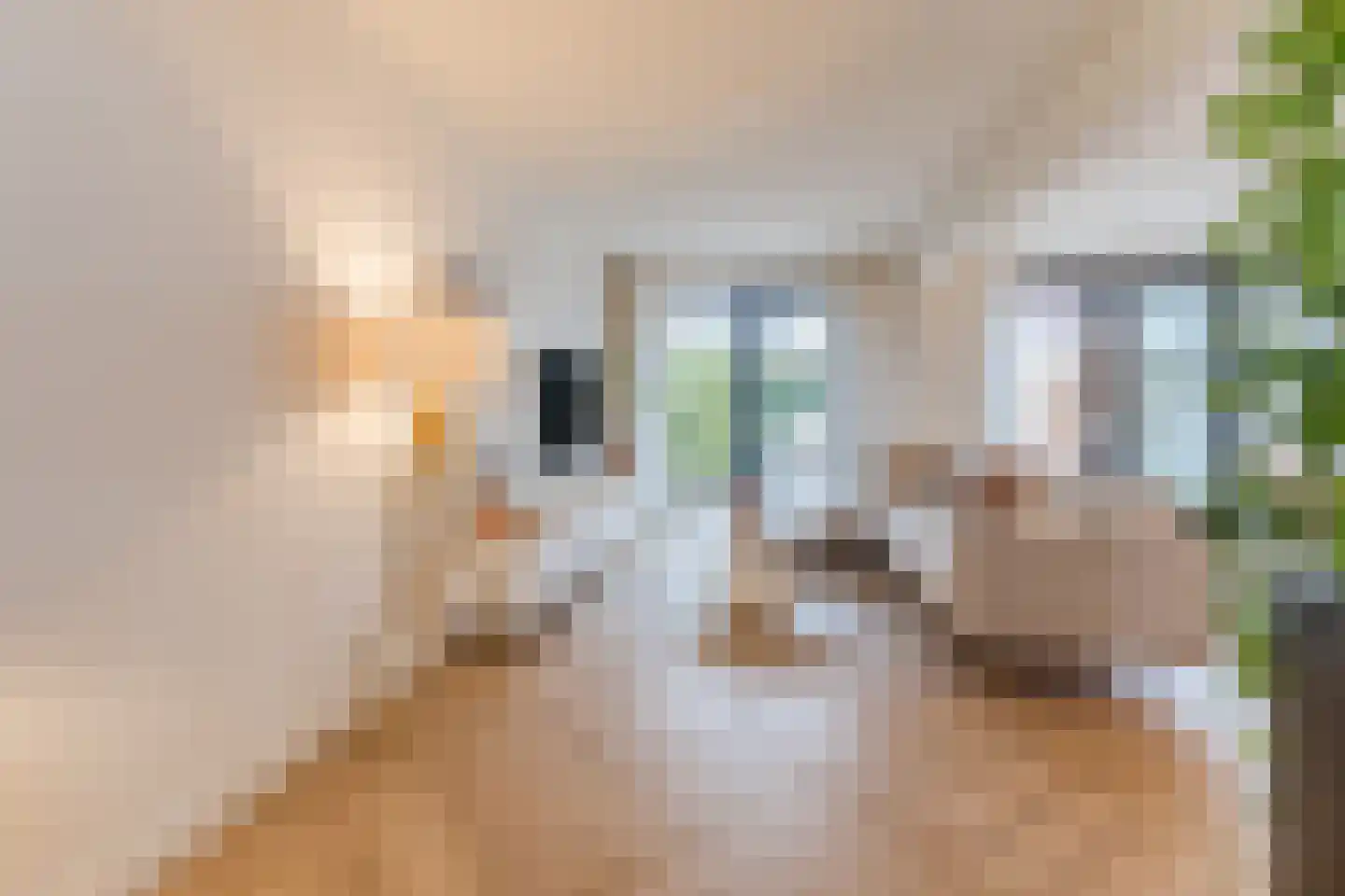 Monteverdistraat 15 Sliedrecht thumbnail 8