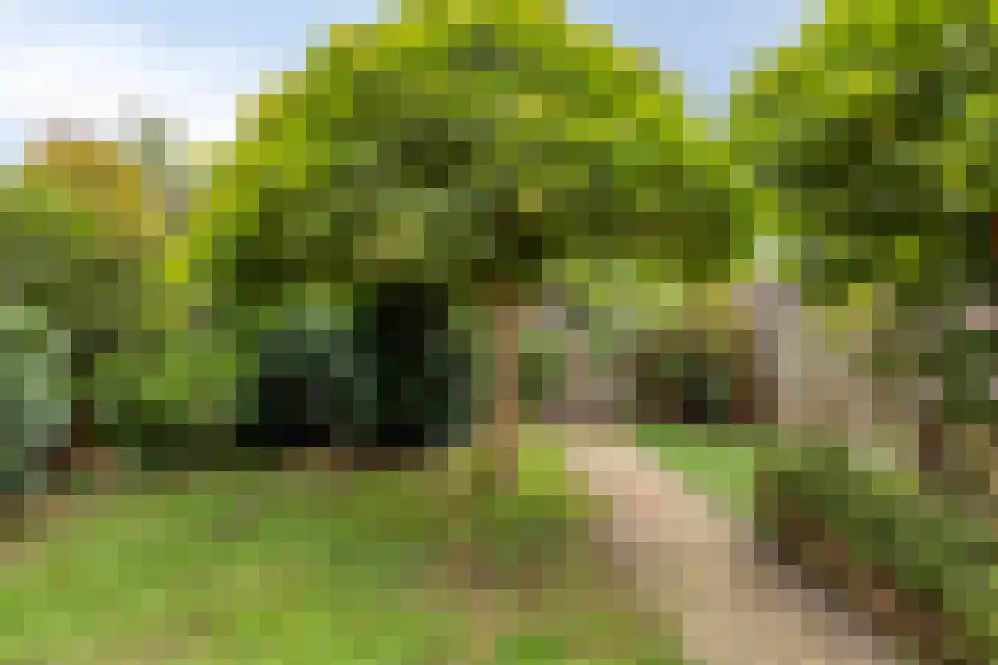 Monteverdistraat 22 Boxtel thumbnail 25